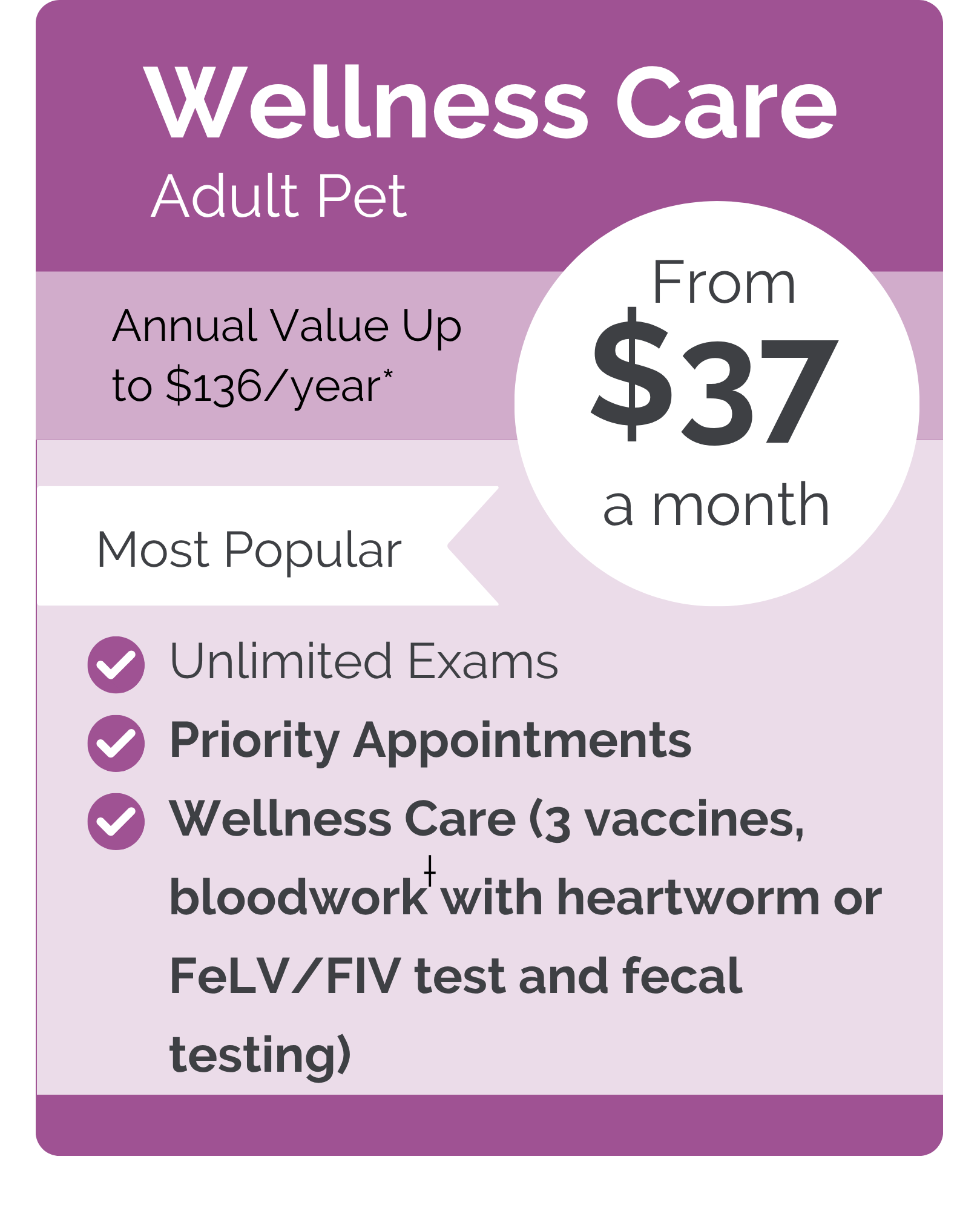 Newton VIPet Plan_pricing_Wellness_Modern